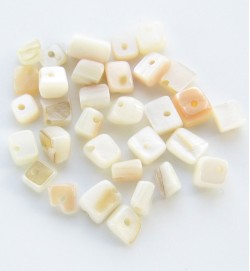 Gemstone Chips ~ White Shell