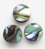 Flat Round Paua Beads