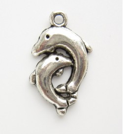 Dolphin Charm