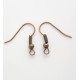 Earring Hooks 