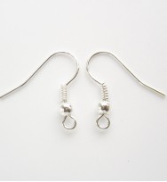 Earring Hooks 