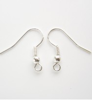 Earring Hooks 