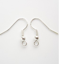 Earring Hooks 