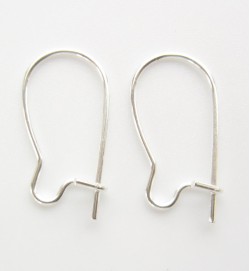 Small Kidney Earwires 15mm